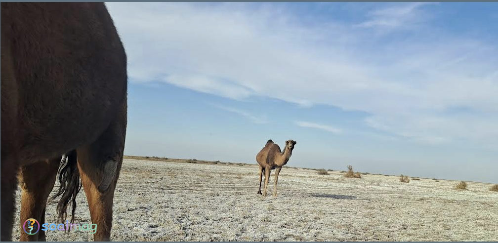 مرنجاب کجاست و چرا جذاب است؟