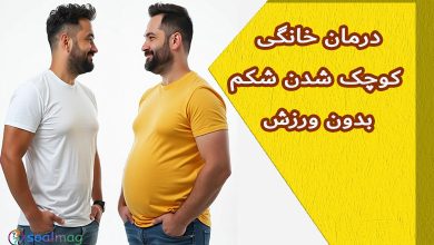 درمان خانگی کوچک شدن شکم بدون ورزش